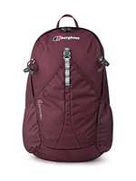 Dewalt Tool Backpack £23.98 instore 