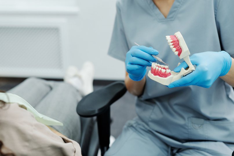 dentist with model teeth