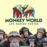 Monkey World discount codes