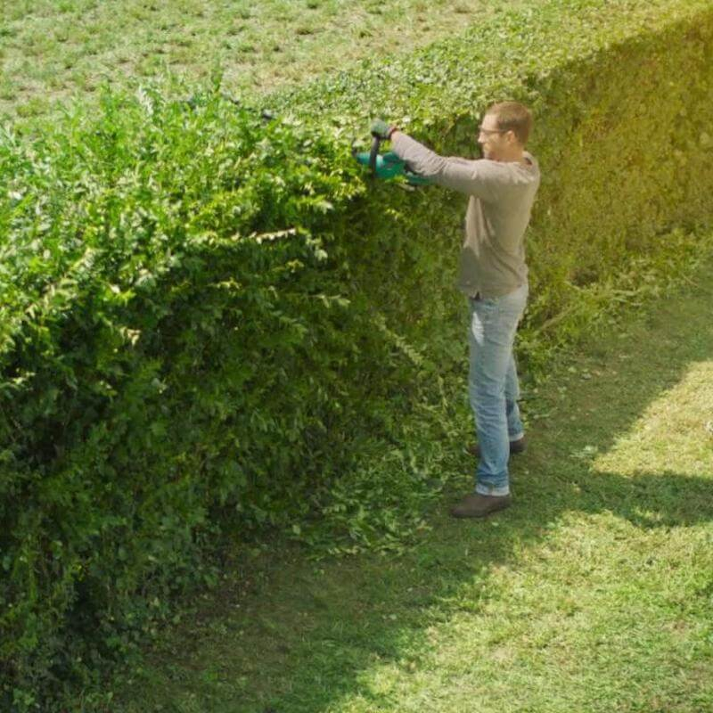 man trimming hedge
