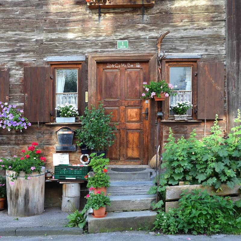 Plants outside wooden door