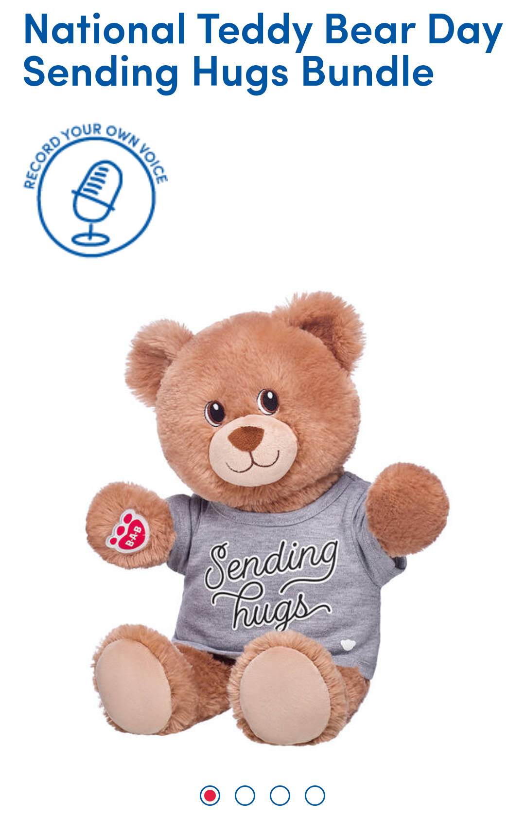 teddy bear with personalised voice message