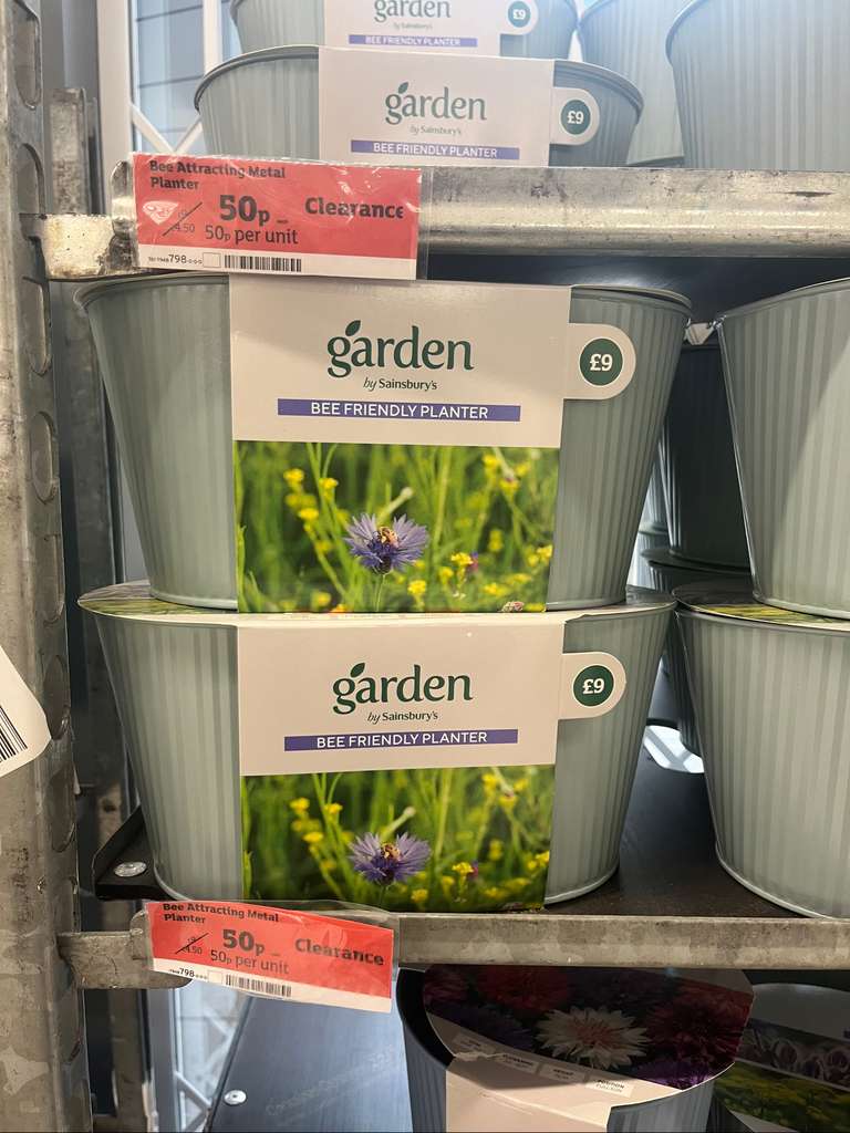 Flower growing kits 50p at Sainsbury's Maidenhead hotukdeals