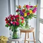 Free Nominated Delivery on Bouquets Flowers and Plants From Marks and Spencer