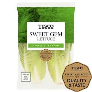 Tesco Sweet Gem Lettuce - Clubcard Price