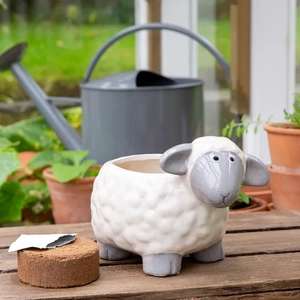 Grow Your Mint with Sheep Planter £5.60 /Grow Your Flowers with Duo Rabbit Planter £7 / Bike planter £12.8 + free Click & Collect @ Dunelm