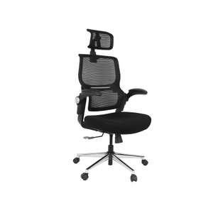 Flexi-Chair BackSupport office chair BS1B - £207.99 Delivered @ Flexispot