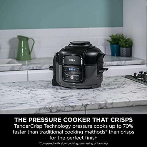 Ninja Foodi MINI Multi-Cooker [OP100UK], 6-in-1, 4.7L Electric Stainless steel Pressure Cooker and Air Fryer, Grey and Black