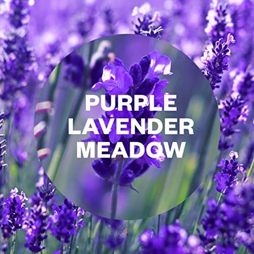 Air Wick|Purple Lavender Meadow|Plug in Electrical Air Freshener |1 Gadget & 1 Refill S&S £3.83