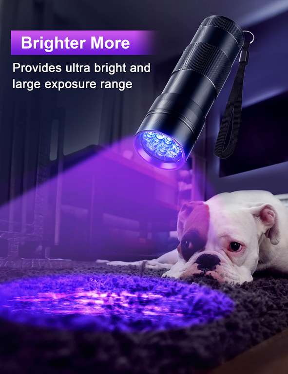 Fulighture 1x UV Torch, 12LED, Stain Detector, Batteries Included (2pk With Voucher £5.49) With Voucher Sold By Fulighture LED FBA