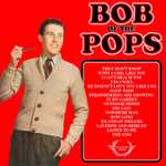 Free Music Albums - Bob of the Pops - 6 Albums & 2 EPs (60s, 70s,80s, 90s Pop Hits Covers)