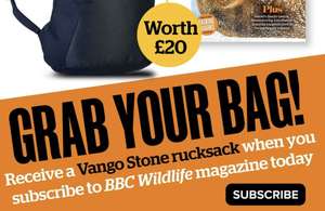 Vango Stone 20L Rucksack and 6 issues of BBC wildlife magazine - £20.95 @ Buy Subscriptions