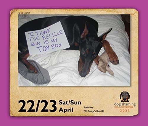 Dog Shaming 2023 and Cat Shaming 2023 Day-to-Day Calendar @ Amazon