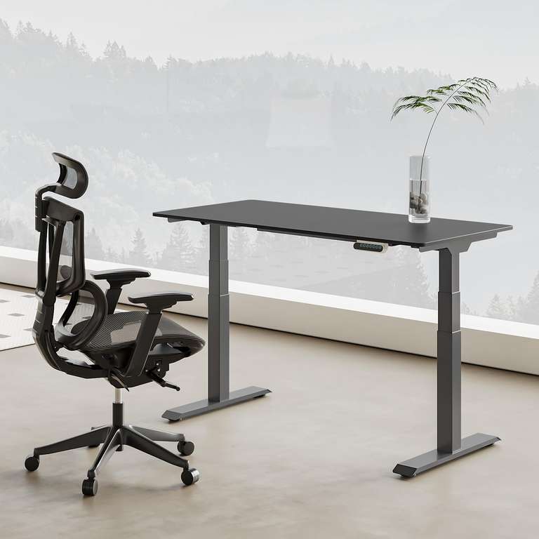 FLEXISPOT Electric Standing Sitting Desk Frame 3 Column 2 Motors 125kg Capacity Black E6B W/Voucher, Sold by Ergonomic FBA