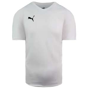 Men's Puma Liga Jersey Core V-Neck Short Sleeve White Football T-Shirt (Size S)