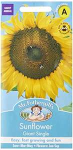 Mr Fothergill's 16054 Flower Seeds, Sunflower Giant Single 72p @ Amazon