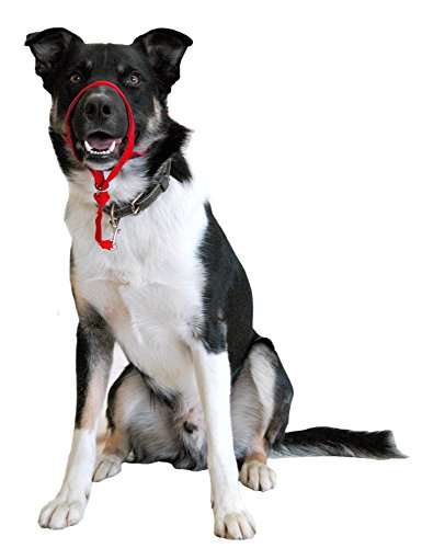 HALTI Headcollar Size 3 Black - Professional Anti-Pull Training Aid for Medium Dogs - £8.49 @ Amazon