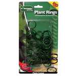 100 Kingfisher Plant Rings - Sold & Dispatched By UKDeals Direct