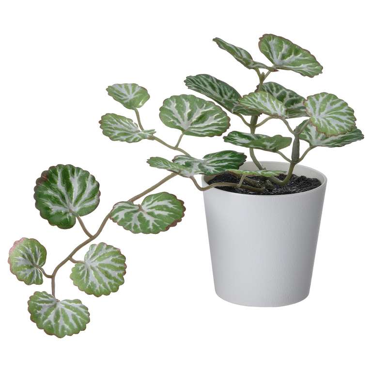 FEJKA 6cm Artificial potted plant with pot £0.50 Free Collection @ Ikea
