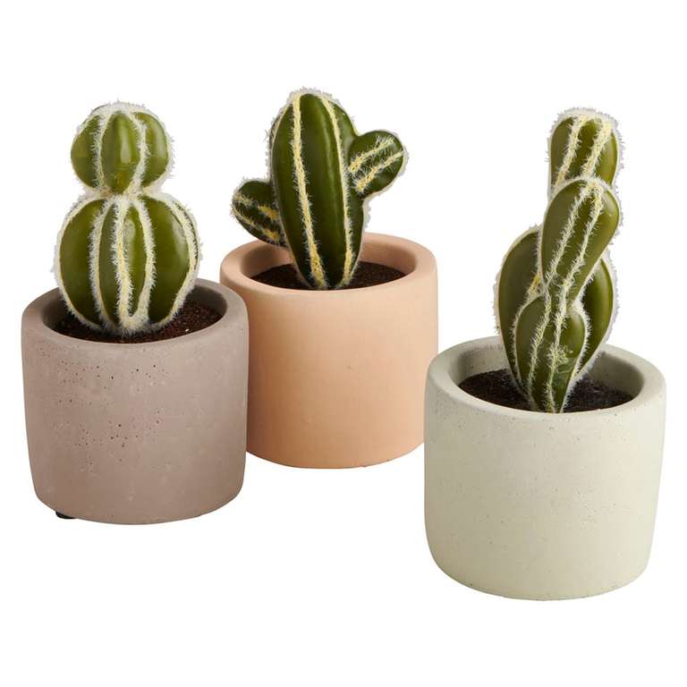Wilko Faux Cactus in Coloured Pot (Assorted Colour) £1.80 + Free Click & Collect @ Wilko