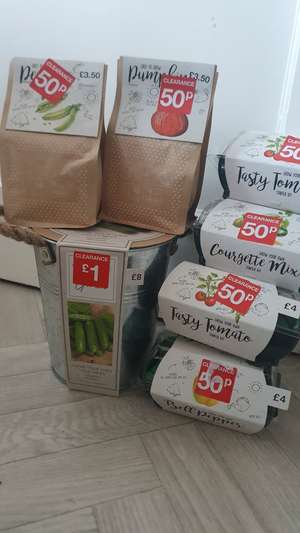 Clearance Vegetable Starter Kits (Nothing costing more than £1) instore @ B&Q (Chelmsford)