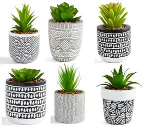 Artificial Succulent with Pot now From £3 with Free Click and collect