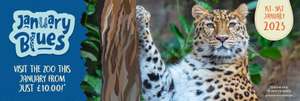 Colchester Zoo only £10 January weekdays (£12.50 weekends)