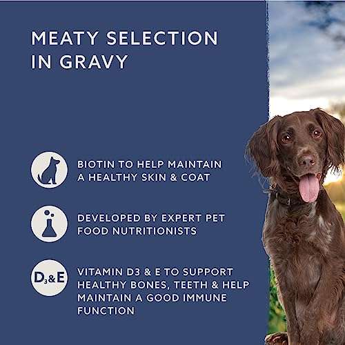 Amazon Complete Food for Adult Dogs, Meat Selection in Gravy, 1.2 kg (12 Packs of 100g) (£2.40 S&S)
