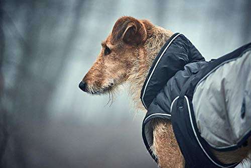 HUNTER Uppsala Extreme Dog Coat Size 60 black/grey