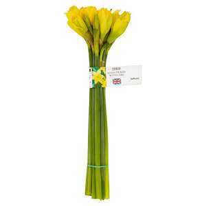 2 x bunches of Daffodils - Clubcard price
