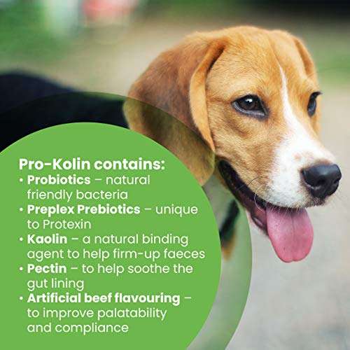 Protexin pet health Pro-Kolin for Dogs and Cats Probiotic Paste and Syringe, 60ml £18.89 @ Amazon