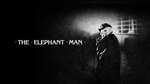 The Elephant Man (4K Ultra-HD + Blu-ray) - Italian Version (Plays in English)