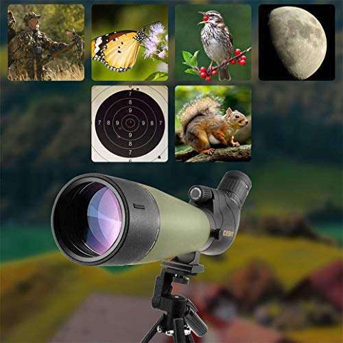 Gosky 20-60x80 Spotting Scope with Tripod, Carrying Bag, Smartphone Adapter, BAK4 HD Angled Scope, Used - Like New £107.13 @ Amazon WH / FBA