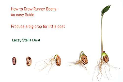 How to grow Runner Beans - an easy guide: Produce a big crop for little cost Kindle Edition