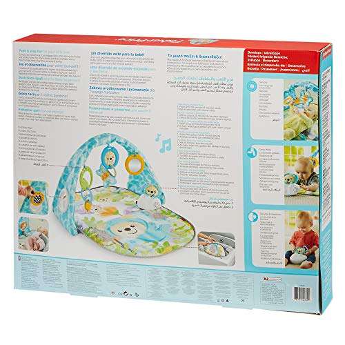 Fisher-Price Butterfly Dreams Musical Playtime Gym, New-born Baby Play Mat with Music, Colours, Textures and Sounds £18.96 @ Amazon