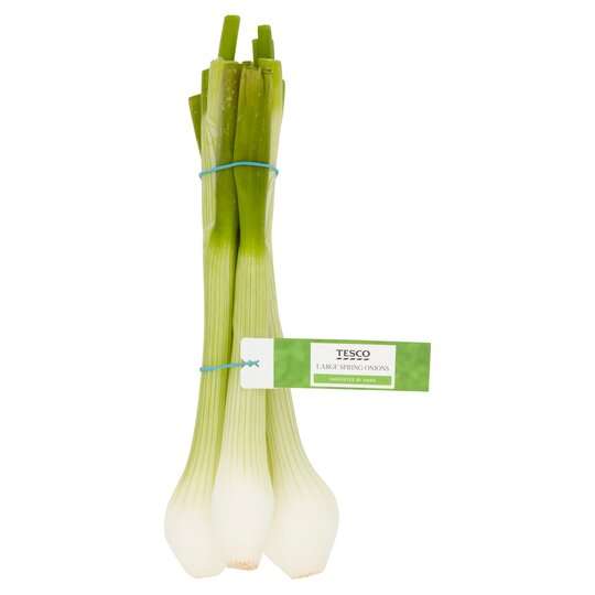 Tesco Large Spring Onions Bunched 130G - Clubcard Price
