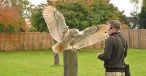 Baytree Owl & Wildlife Centre (Spalding, Lincs) - Family Day Pass
