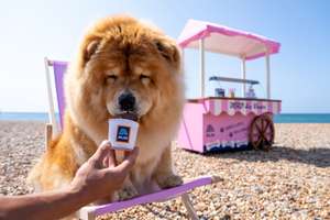 Doggy Ice Cream (4 pack) Two paw-some flavours, Pea & Vanilla and Carrot & Apple