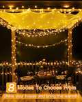 Ollny Fairy Lights for Indoor Outdoor - 40M 400 LEDs Warm White - Sold By Ollie FBA
