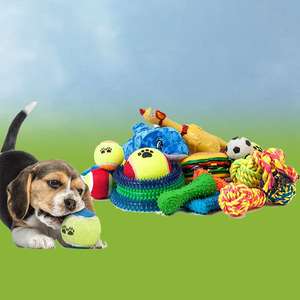 10 x Assorted Mystery Dog Puppy Training Toys £10.99 Delivered @ Yankee Bundles
