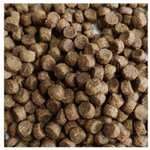 Wainwright’s Dry Dog Food 2KG (variety) - £5 (Free Collection) @ Pets at Home