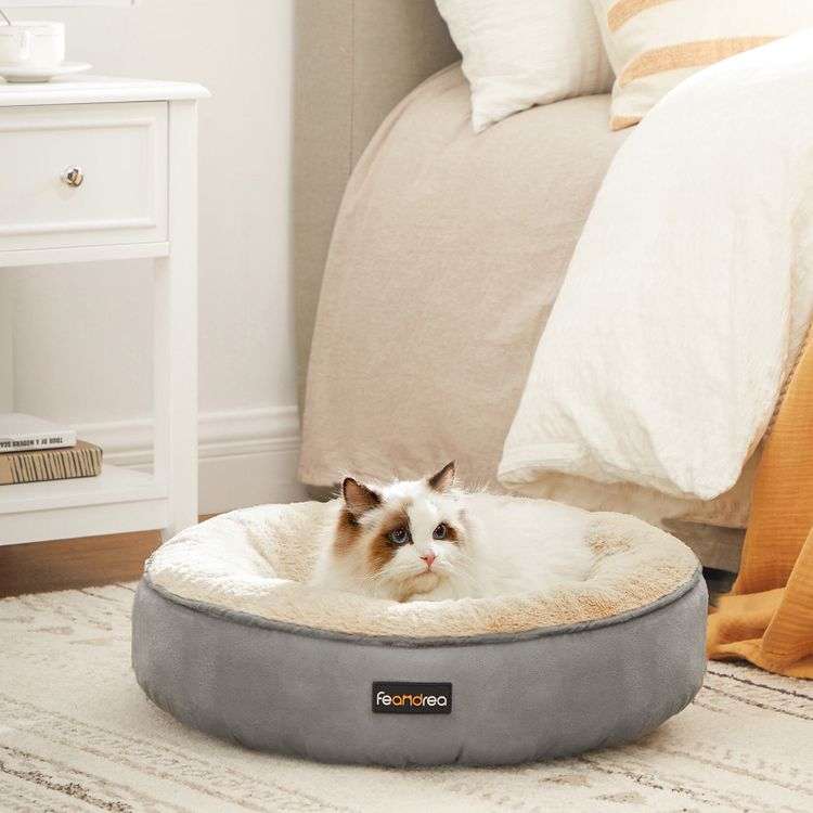 FEANDREA Donut Shaped pet bed 55 cm wide in Dark Grey with removable cushion for £8.99 delivered using code @ Songmics