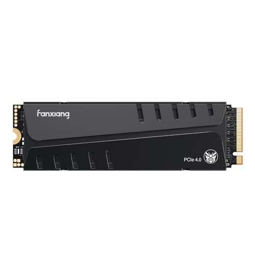 fanxiang 1TB PCI 4.0 NVMe SSD (PS5 compatible 7,300MB/sec)) with Heatsink - Sold By LDCEMS FBA