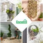 50% off Artificial Flowers & Plants Sale indoor & outdoor (New lines added) + free click & collect
