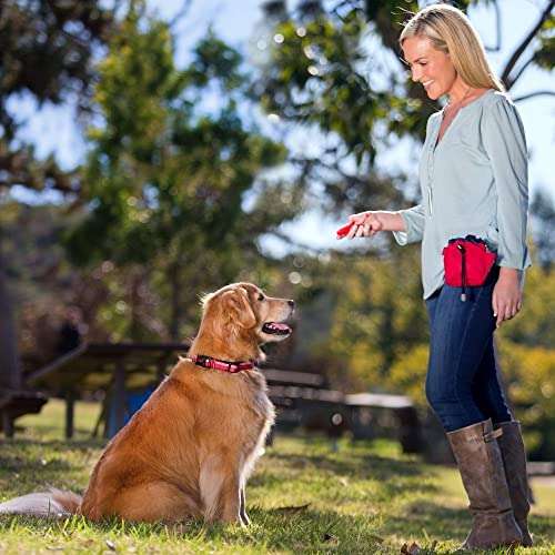 The Company of Animals Whizzclick, Clicker and Whistle Combined, Recall and Reward Training, Wrist Strap (Dog Training)