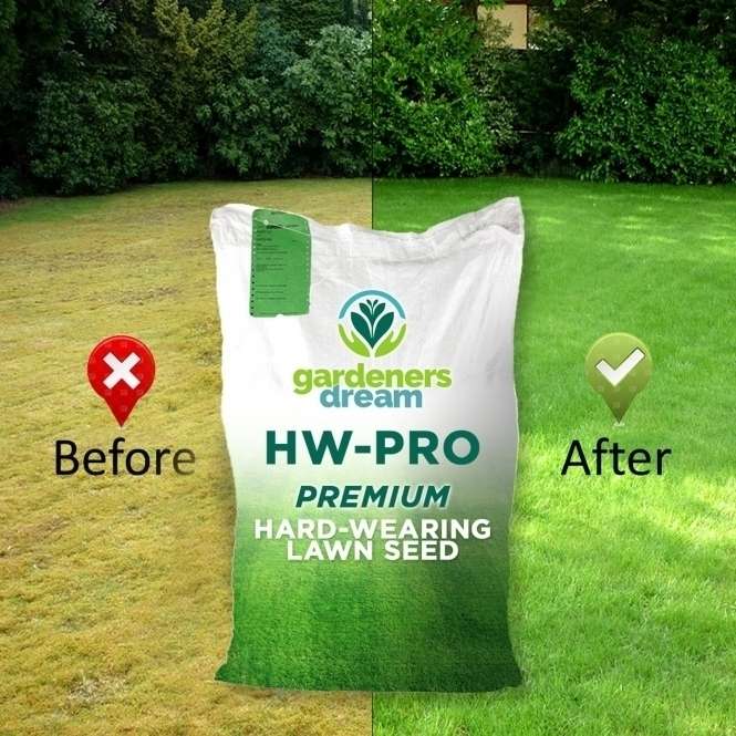 Hard-Wearing Premium Tough Back Garden Lawn Grass Seed 1Kg