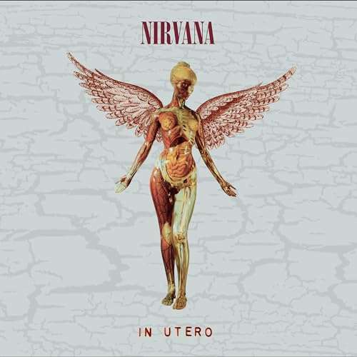 Nirvana - In Utero 5 CD Box Set (Using Voucher)