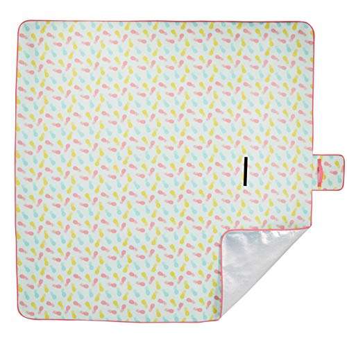 Amazon Basics Picnic Blanket with waterproof backing, 200 x 200 cm £11.29 @ Amazon