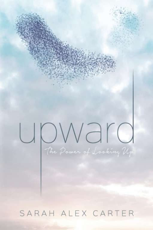 Upward by Sarah Alex Carter, Kindle Edition - 99p @ Amazon