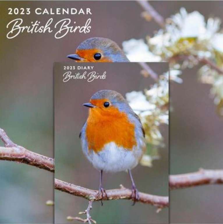 Calendar and diary sets reduced to £1 @ The Works e.g. Birds 2023 Square Calendar and Diary Set £1 + £1.99 click & collect